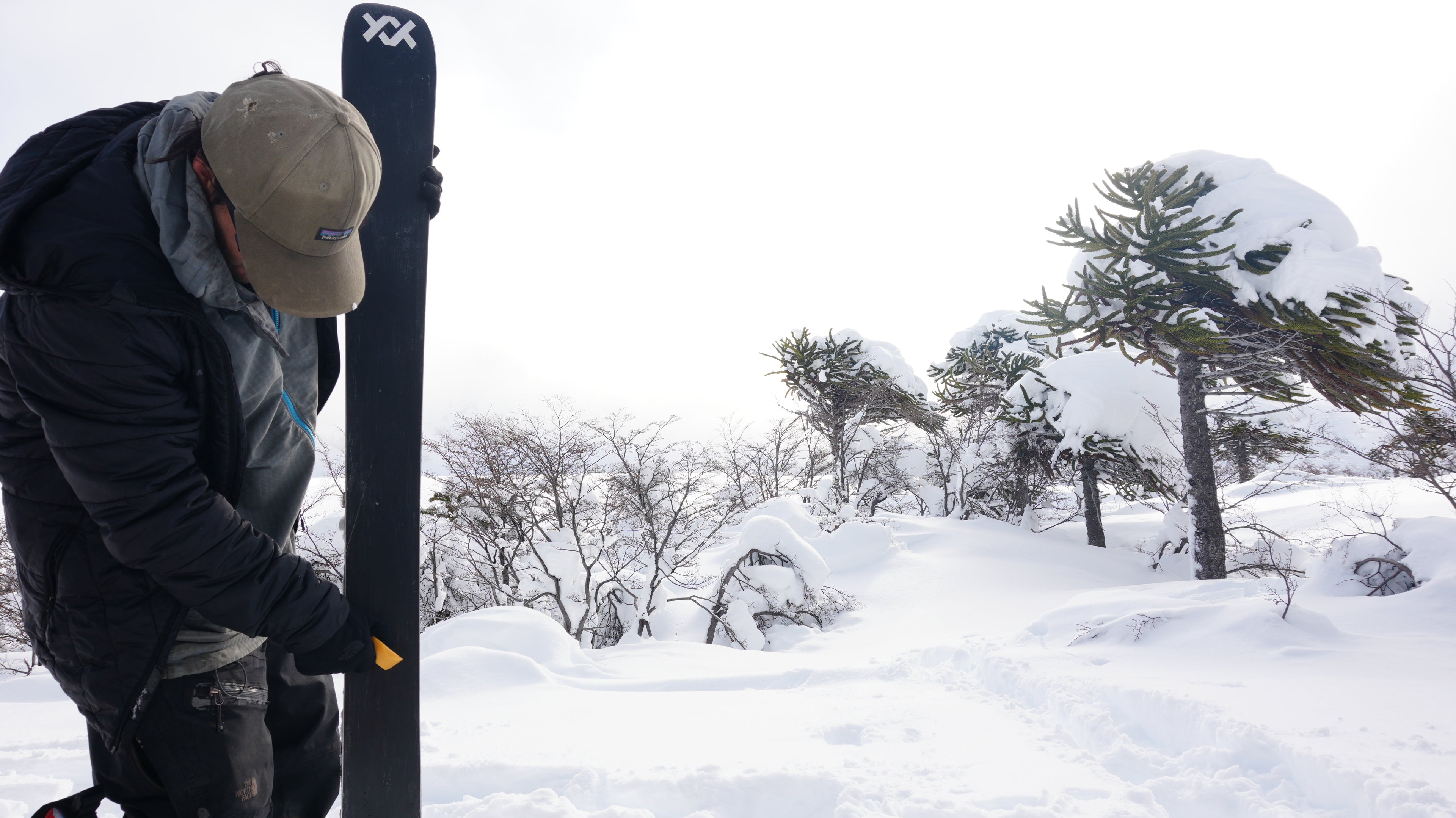 Cera Bee Power Wax (Nieve fria -4°C a -6°C)